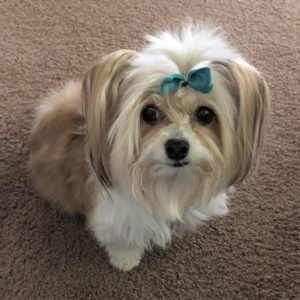 Bella
