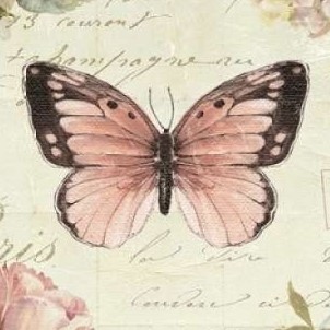Butterfly Blalock Confidential - Butterfly